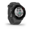 Forerunner 55 - Monterra Gri resmi