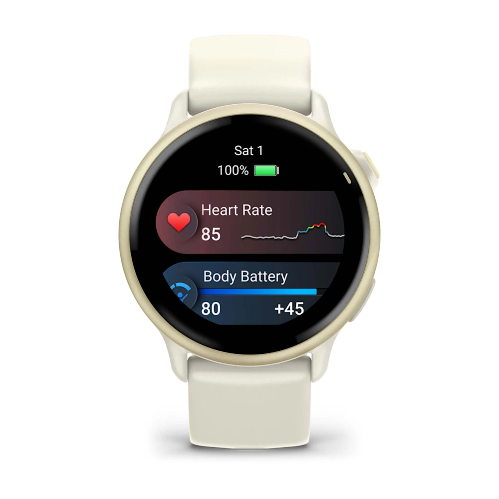 vivoactive 6 - Lunar Gold resmi