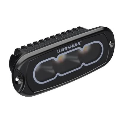 Lumishore LUX Flood Light - 4" Siyah Gömme Tip CRBGW Flood Light resmi