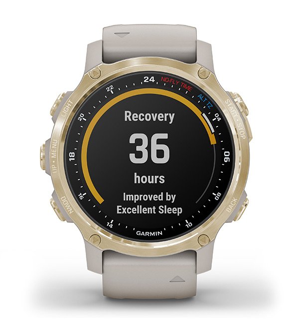 Garmin Descent Mk2S