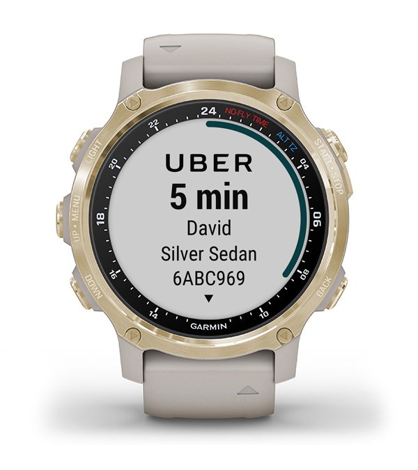 Garmin Descent Mk2S