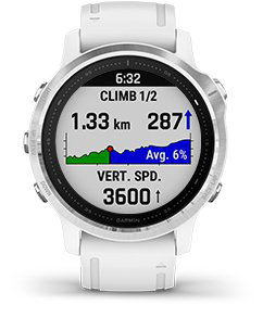 Garmin fenix 6s