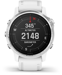 Garmin fenix 6s