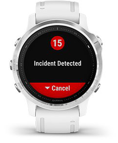 Garmin fenix 6s