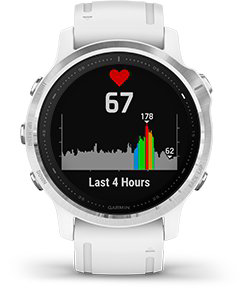 Garmin fenix 6s