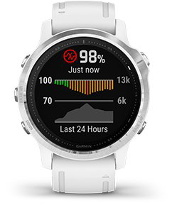 Garmin fenix 6s