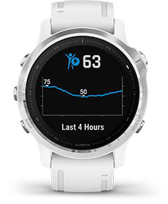 Garmin fenix 6s