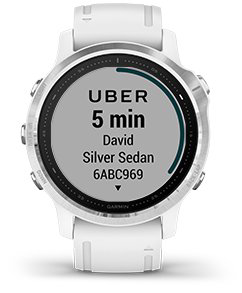 Garmin fenix 6s