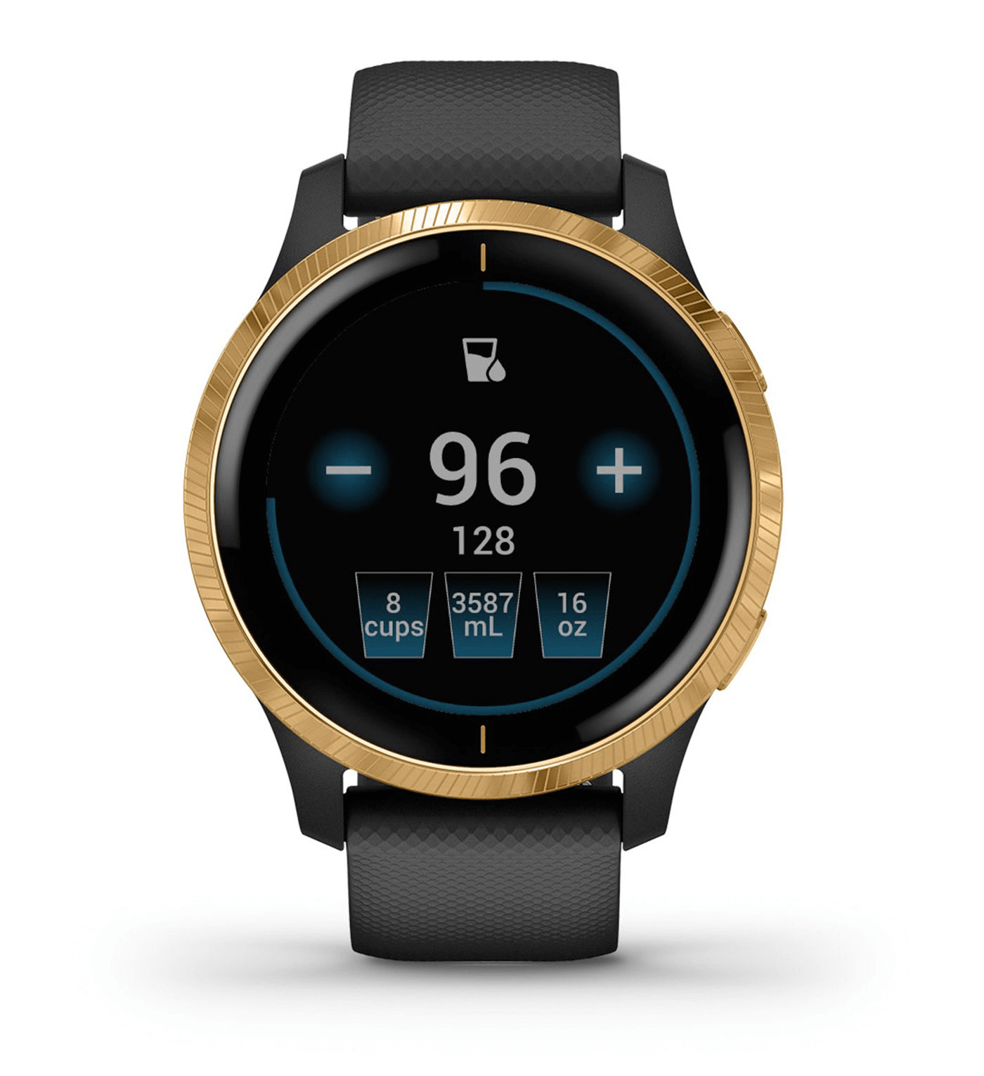 Garmin Venu